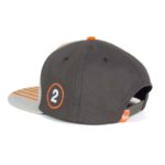 Official Numskull The Division 2 Flag Snapback Hat - One size - New & Sealed