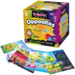 BrainBox Opposites Card Game